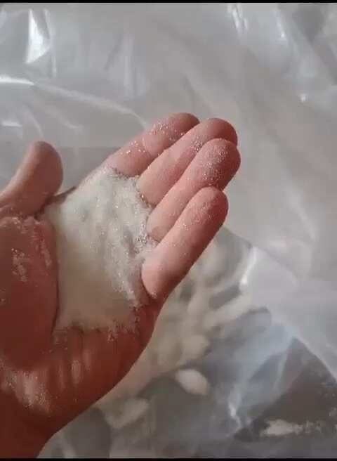 香港巴西IC45，白砂糖，VHP sugar