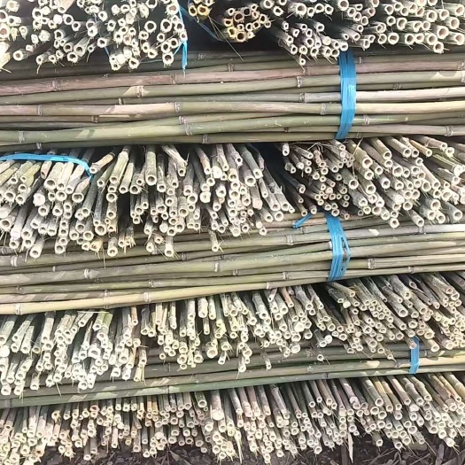 豆角黄瓜之类的果蔬撑杆竹，金竹，最大长度2.5米