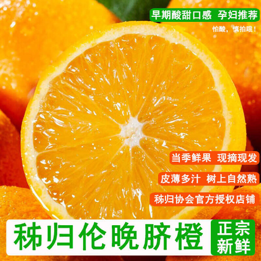 秭归县伦晚脐橙春橙秭归产地直发 承接电商平台 一件代发社区团购