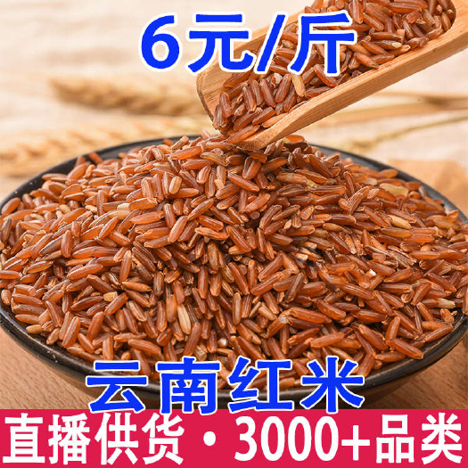 红米 云南红米 红稻米 自有工厂 大货批发