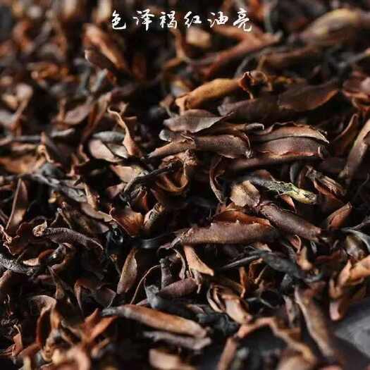 云南古树红茶紫芽孢红茶产地大货批发