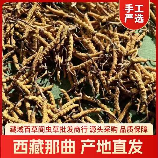 虫草 冬虫夏草 西藏直发 规格自选 品质保障