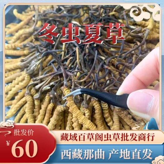 冬虫夏草 全国包邮 手工严选 西藏那曲