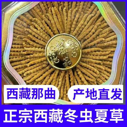 冬虫夏草 西藏产地直发 实体经营 多规格自选 量大价优