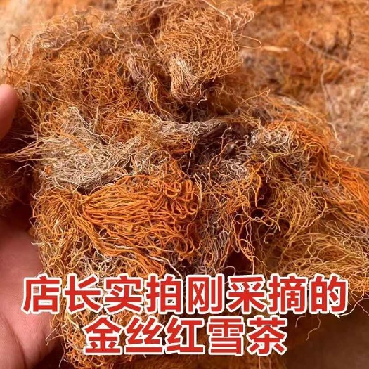 昆明西藏金丝红雪茶金丝红雪茶大货批发