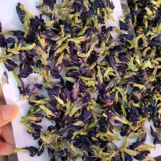 蓝蝶花蝴蝶花蝴蝶花黎苗南古蝶花批发