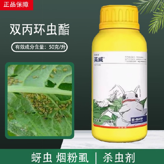 淄博辣椒桃树果树木虱蚜虫白粉虱杀虫剂英威双丙环虫酯