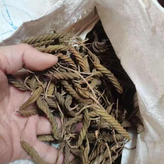 昆明虫草王火麻索青芷兰溪茶火麻索批发