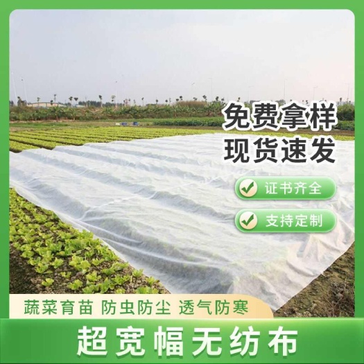 白色无纺布布料整卷不织布透气防尘农用苗圃无纺布水稻育秧苗防水