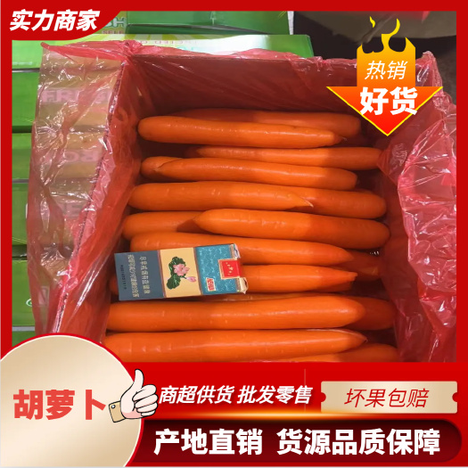 福建316新鲜胡萝卜 商超供货 产地直销 一手货源