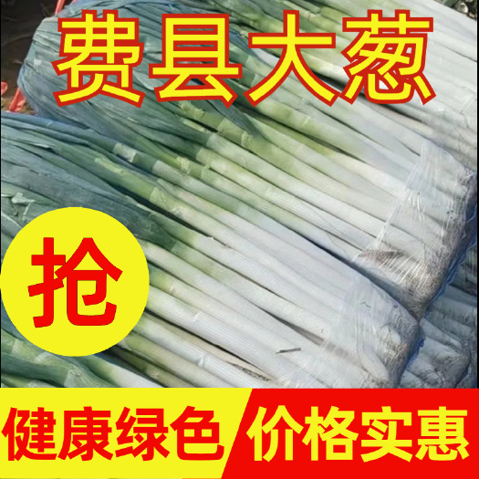 费县临沂费县大葱 精品电商 超市 市场货