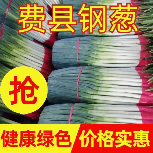 费县钢葱   临沂费县大葱  火爆精品电商 市场 超市