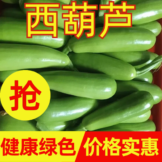 费县绿皮西葫芦   临沂费县火爆精品西葫芦