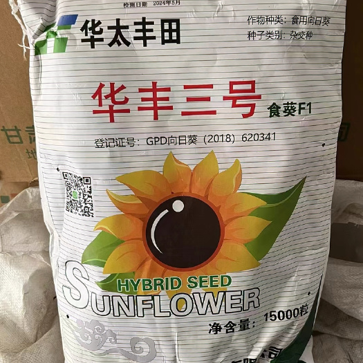 甘肃酒泉葵花种子公司食用向日葵系列363葵花种子华丰三号