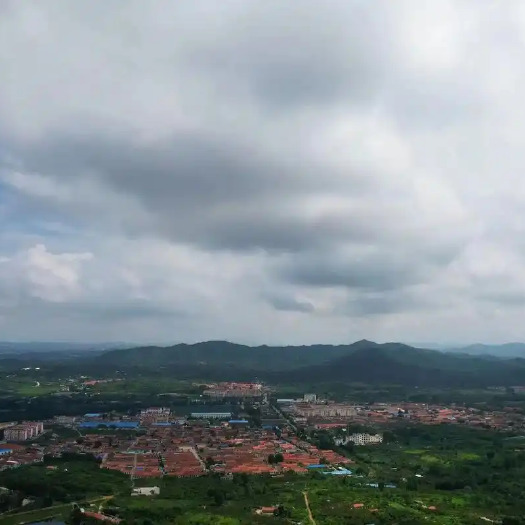 烟台烟台莱山滨海路街道20亩耕地今作转让