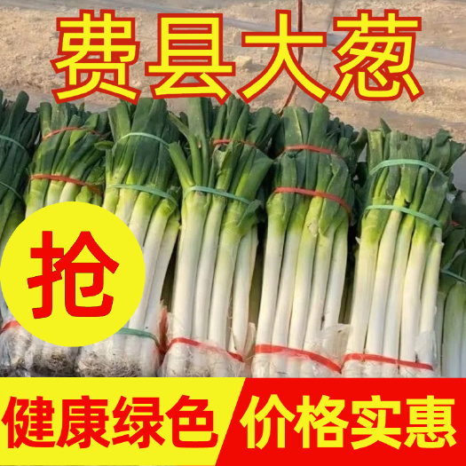 费县费县大葱  精品火爆 电商 市场 超市货