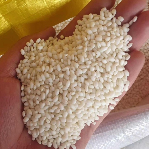 东北圆糯米包粽子酒酿原料