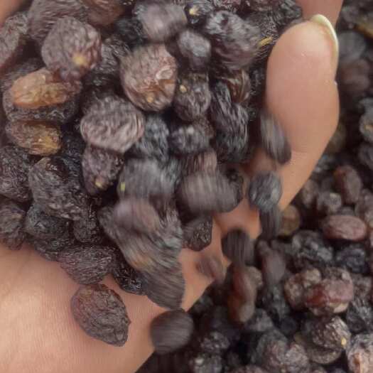 吐鲁番免洗弗雷葡萄干，电商食品厂专用
