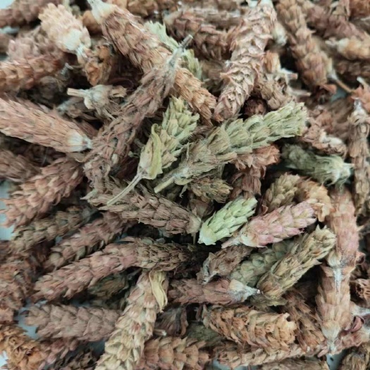 昆明夏枯草夏枯球夏枯草夏枯球夏枯草夏枯球批发