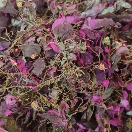 昆明风柜斗草全红风柜斗草批发