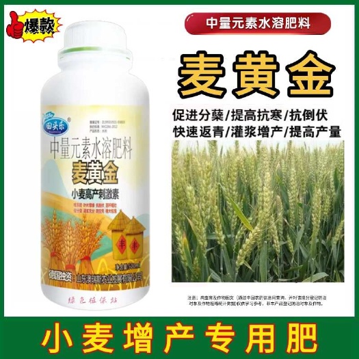 麦黄金叶面肥小麦增产肥小麦生根壮苗抗倒伏促分蘖灌浆增产增收