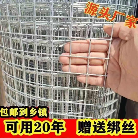 长沙镀锌防鼠铁丝网防蛇钢丝网小孔加粗密网鸡鸽鸟兔笼阳台防护网格网