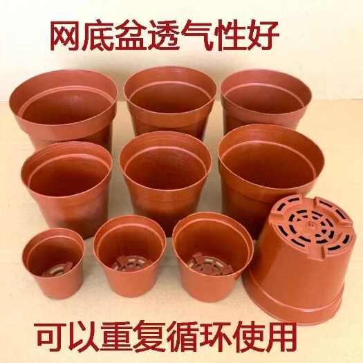 长沙塑料花盆基地苗圃多肉育苗盆红色网底透气透水家庭园艺直边盆