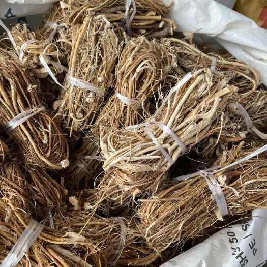 昆明五指毛桃五指毛桃根批发