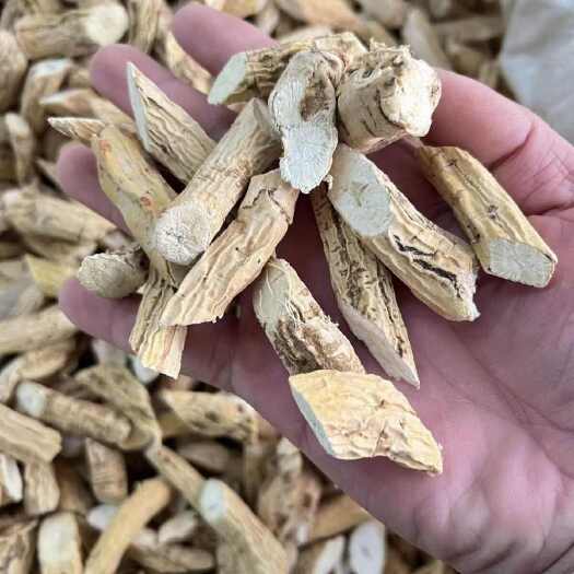 牛大力牛大力粉罗伞批发大货批发