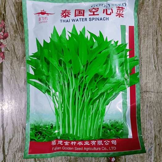 泰国空心菜种子 竹叶空心菜种子 口感脆嫩 四季种植
