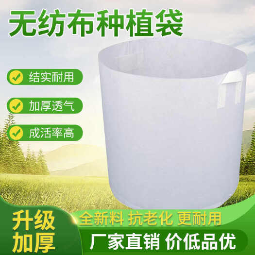 无纺布美值袋种植育苗袋子营养袋容器绿化加厚苗木植物种树果苗袋