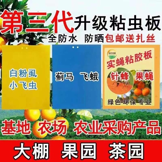 双面粘虫黄板诱虫板黄色果园果蝇针蜂蓝板蓟马飞虫防虫贴粘蝇板