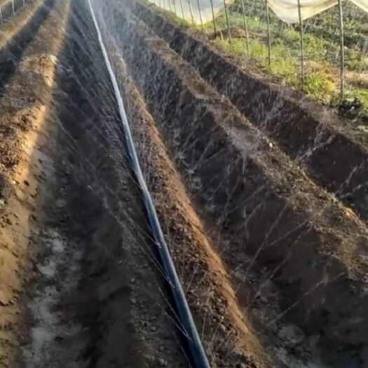 长沙全新料农用滴灌带微喷带软管主管雾化节水浇地水带灌溉1寸2