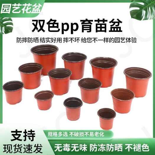 长沙双色盆一次性育苗花盆营养钵培育盆简易加厚大号多肉草莓盆种植盆