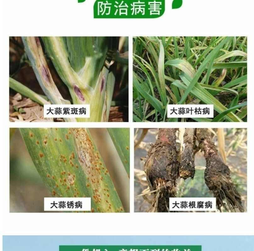 芸乐收增产玉米花生小麦水稻药材瓜果蔬豆增产套餐高配版