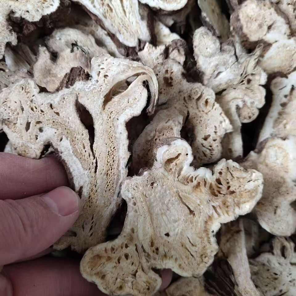 白術白術片白術白術片白術白術片批發(fā)