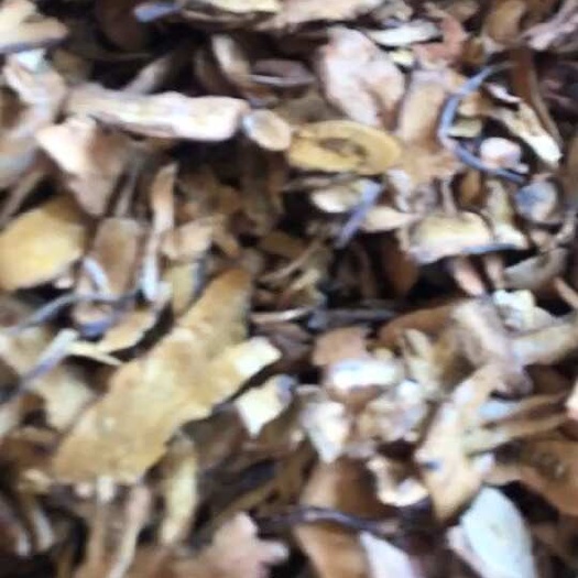 樟树市虎杖精品货