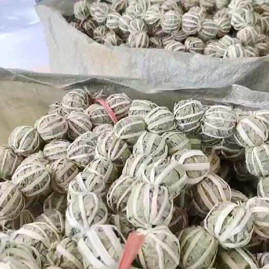 海口海南鹧鸪茶批发海南特产三亚特产苦丁茶海南直发