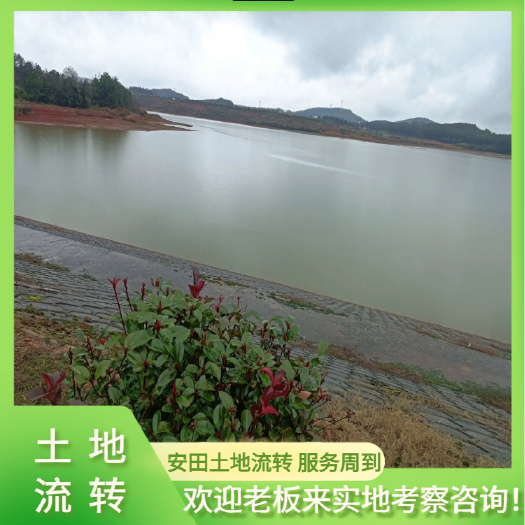 水库500亩，价格面议，可以养鱼，养鸭搞农庄  灌溉水