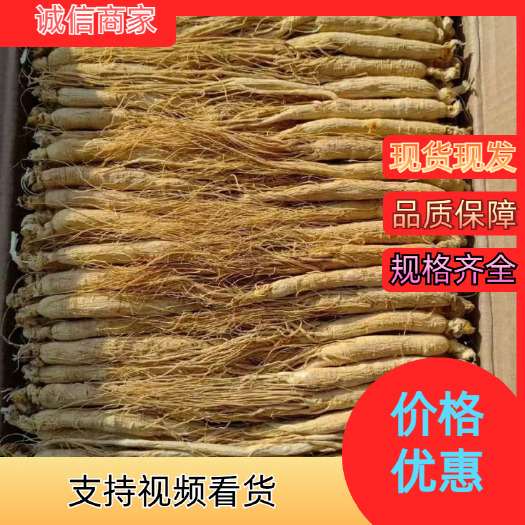 长白山人参，生晒参 抖快代发，拼淘代发 支持代发 可以定制