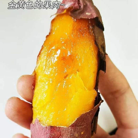 云南榴莲蜜薯丝滑蜜薯9斤产地直发一件代发