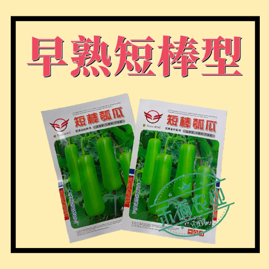 早春短棒瓠瓜种子早熟亮绿瓠瓜种籽肉厚香浓高产基地优选蔬菜种孑