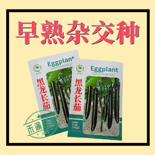 黑龙长茄种籽早熟杂交茄子种子口感绵软茄子种孑亩产万斤四季蔬菜