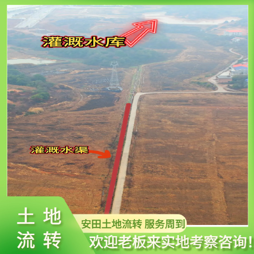 旱地600亩  有政策补贴 水电路三通   一手合同