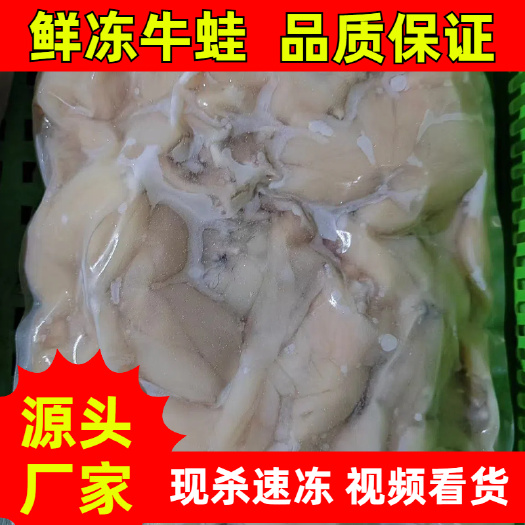 饶平县广东潮州饶平冷冻蛙肉