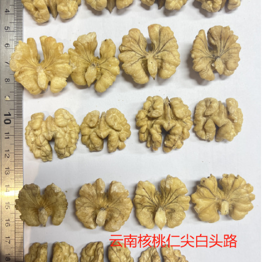 东莞市云南漾濞103果尖白路核桃仁，现货现发，售完即止