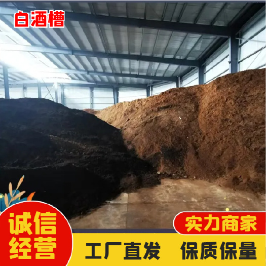 厂家直供-洋河鲜酒糟 无毒素