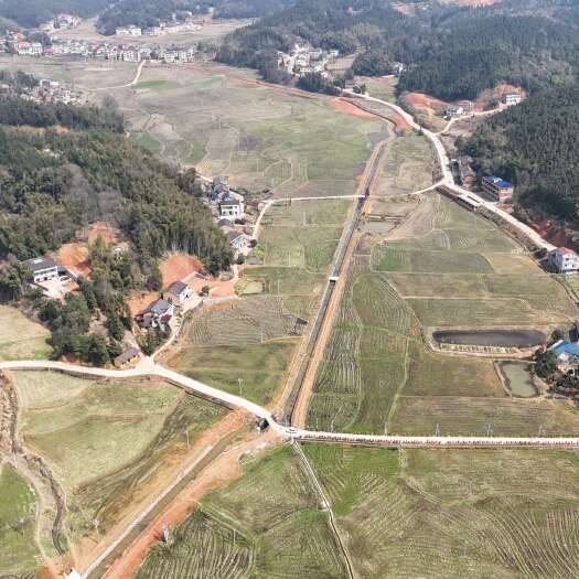 800亩左右  水稻田  260/亩  机耕路  硬化水渠配