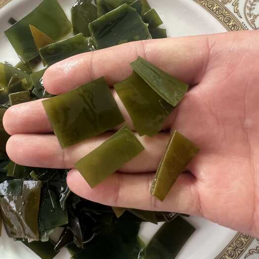 荣成市盐渍海带片 形状不规则 串串 麻辣烫 面条适用 源头直供