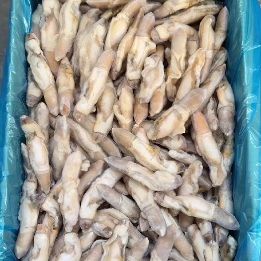 单冻开嘴去沙蛏子肉，捞汁，麻辣，火锅均可